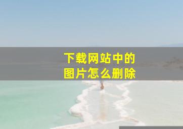 下载网站中的图片怎么删除