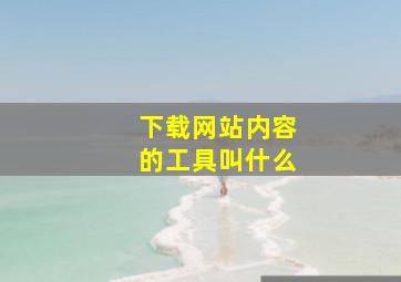 下载网站内容的工具叫什么