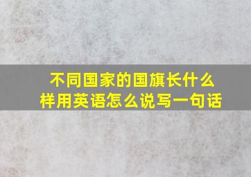 不同国家的国旗长什么样用英语怎么说写一句话