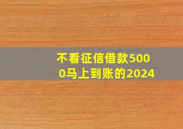 不看征信借款5000马上到账的2024