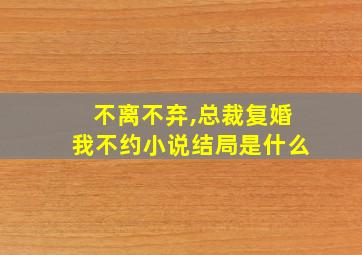 不离不弃,总裁复婚我不约小说结局是什么