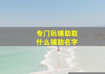 专门玩辅助取什么辅助名字