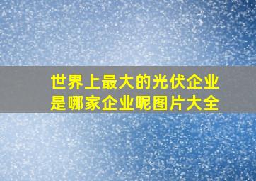 世界上最大的光伏企业是哪家企业呢图片大全