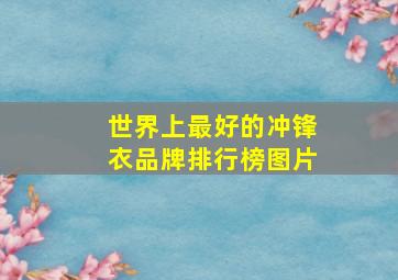 世界上最好的冲锋衣品牌排行榜图片