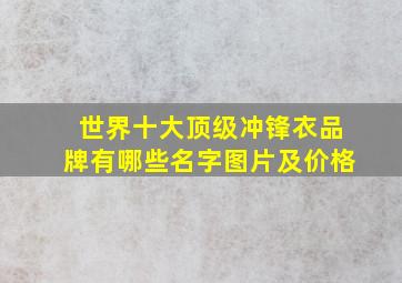 世界十大顶级冲锋衣品牌有哪些名字图片及价格