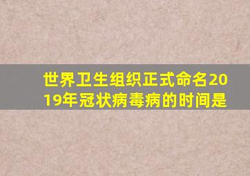 世界卫生组织正式命名2019年冠状病毒病的时间是