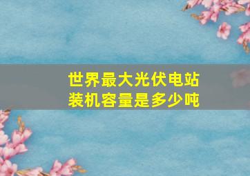 世界最大光伏电站装机容量是多少吨