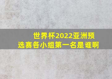 世界杯2022亚洲预选赛各小组第一名是谁啊