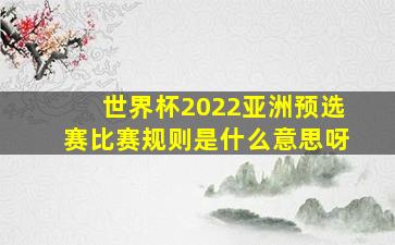 世界杯2022亚洲预选赛比赛规则是什么意思呀