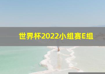 世界杯2022小组赛E组