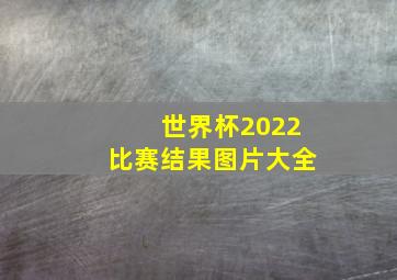 世界杯2022比赛结果图片大全