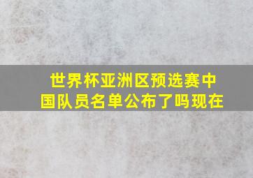 世界杯亚洲区预选赛中国队员名单公布了吗现在