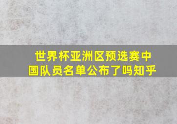 世界杯亚洲区预选赛中国队员名单公布了吗知乎