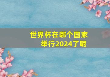 世界杯在哪个国家举行2024了呢