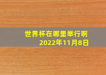 世界杯在哪里举行啊2022年11月8日