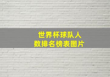 世界杯球队人数排名榜表图片