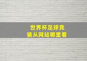 世界杯足球竞猜从网站哪里看