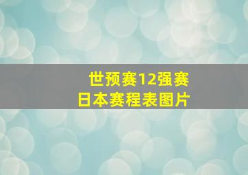 世预赛12强赛日本赛程表图片