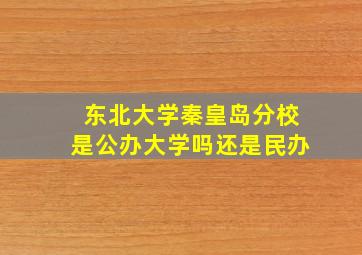 东北大学秦皇岛分校是公办大学吗还是民办