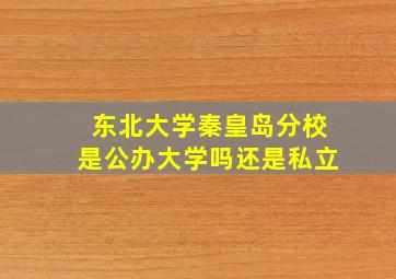 东北大学秦皇岛分校是公办大学吗还是私立