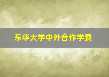 东华大学中外合作学费