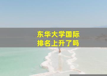 东华大学国际排名上升了吗