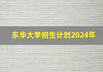 东华大学招生计划2024年