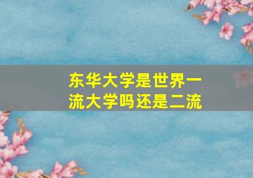 东华大学是世界一流大学吗还是二流