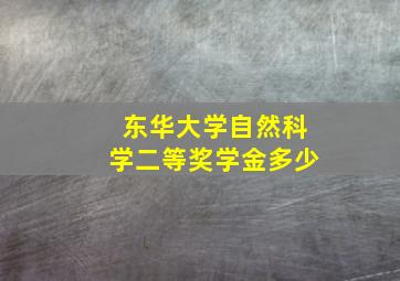 东华大学自然科学二等奖学金多少