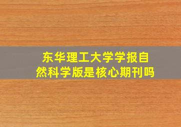 东华理工大学学报自然科学版是核心期刊吗