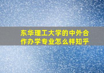 东华理工大学的中外合作办学专业怎么样知乎