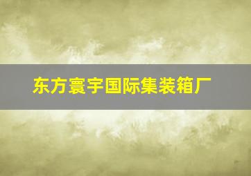 东方寰宇国际集装箱厂