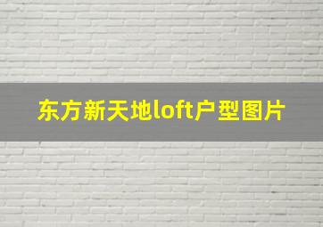 东方新天地loft户型图片