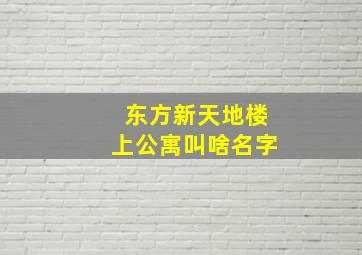 东方新天地楼上公寓叫啥名字