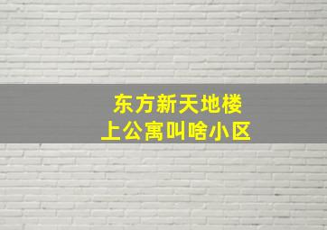 东方新天地楼上公寓叫啥小区