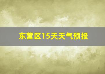 东营区15天天气预报