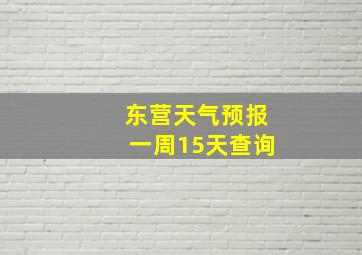 东营天气预报一周15天查询