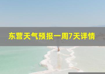 东营天气预报一周7天详情