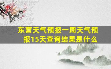 东营天气预报一周天气预报15天查询结果是什么