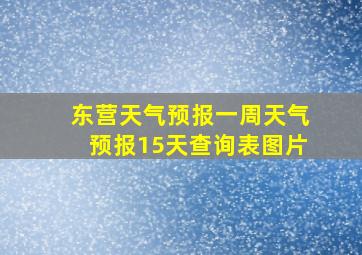 东营天气预报一周天气预报15天查询表图片