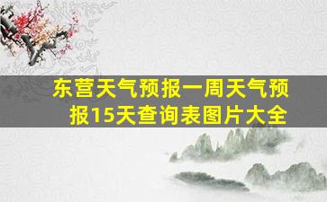 东营天气预报一周天气预报15天查询表图片大全