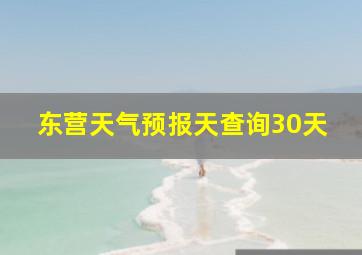 东营天气预报天查询30天