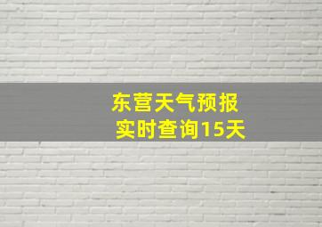 东营天气预报实时查询15天