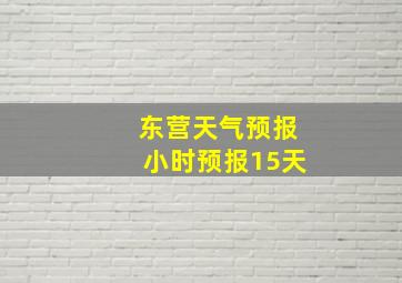 东营天气预报小时预报15天