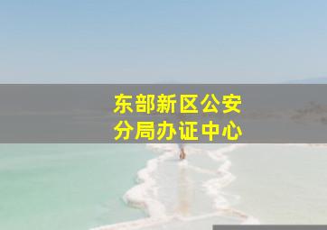 东部新区公安分局办证中心