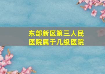 东部新区第三人民医院属于几级医院