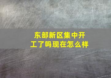 东部新区集中开工了吗现在怎么样