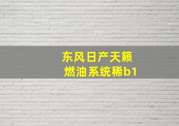 东风日产天籁燃油系统稀b1