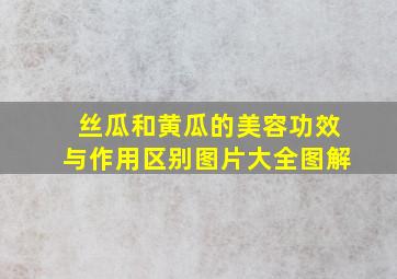 丝瓜和黄瓜的美容功效与作用区别图片大全图解