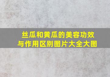 丝瓜和黄瓜的美容功效与作用区别图片大全大图